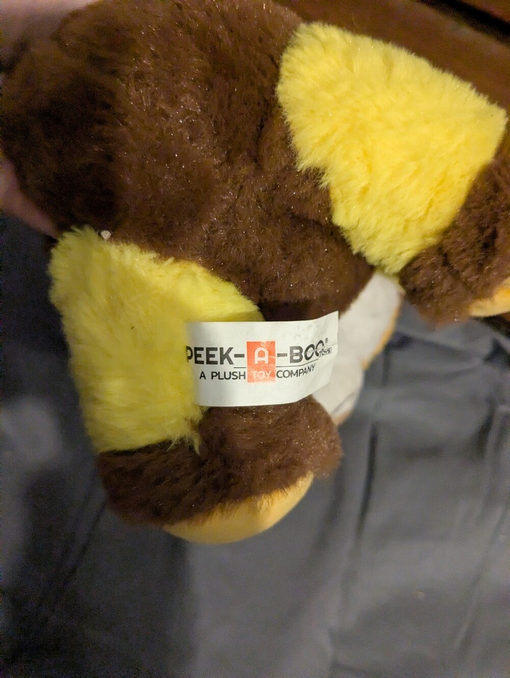 corgi bee - Picture 4 of 4